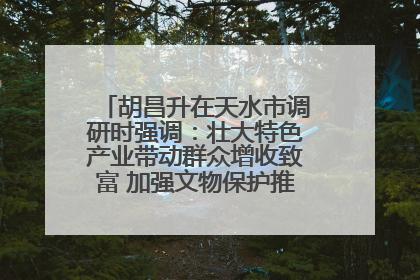 胡昌升在天水市调研时强调：壮大特色产业带动群众增收致富 加强文物保护推动文化创新发展